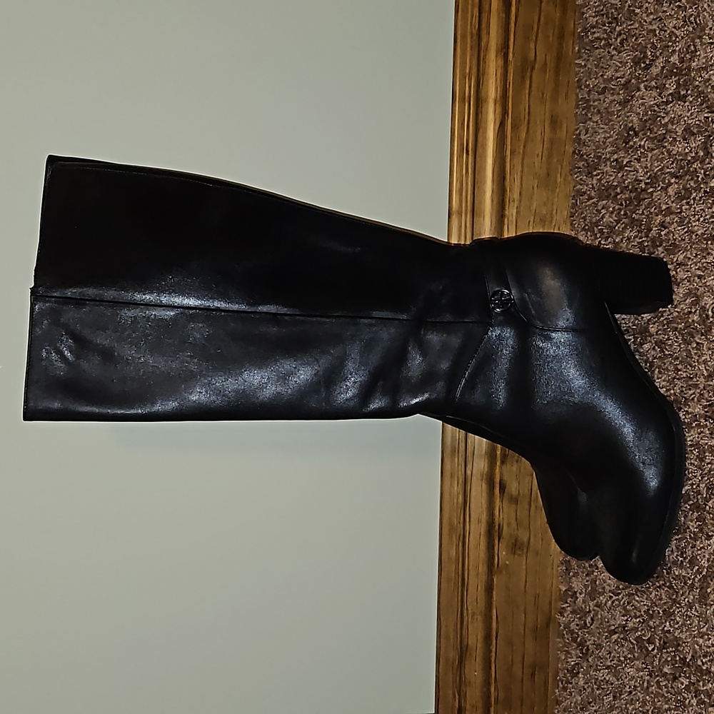 Beautiful Giani Bernini boots